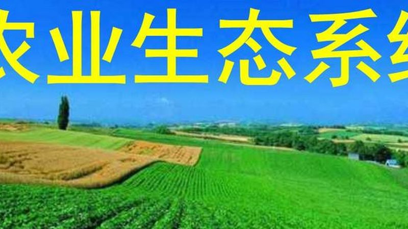 云南高原水果種植，農(nóng)藥管理如何做到綠色高效？**