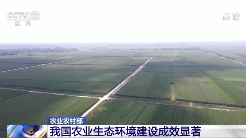 無人機(jī)噴藥，種植大戶病蟲害防治新選擇