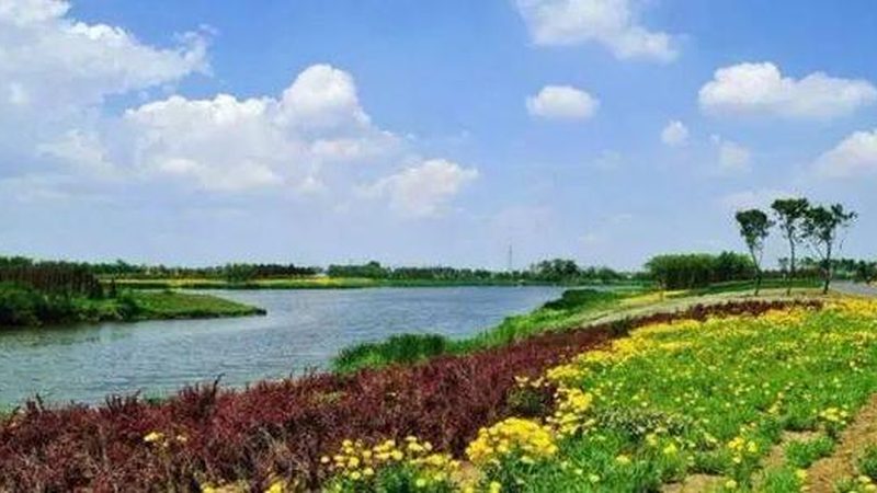 農(nóng)業(yè)項(xiàng)目標(biāo)準(zhǔn)規(guī)范：解碼綠色種植的密碼