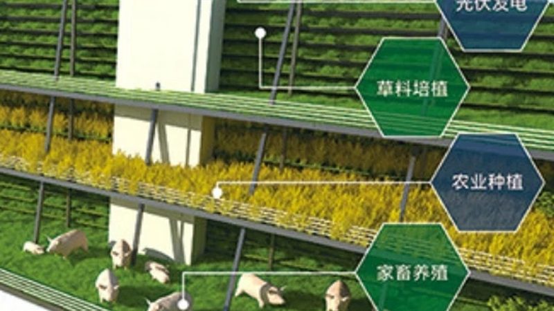 生鮮配送加盟的資質(zhì)門檻，比你想的復(fù)雜