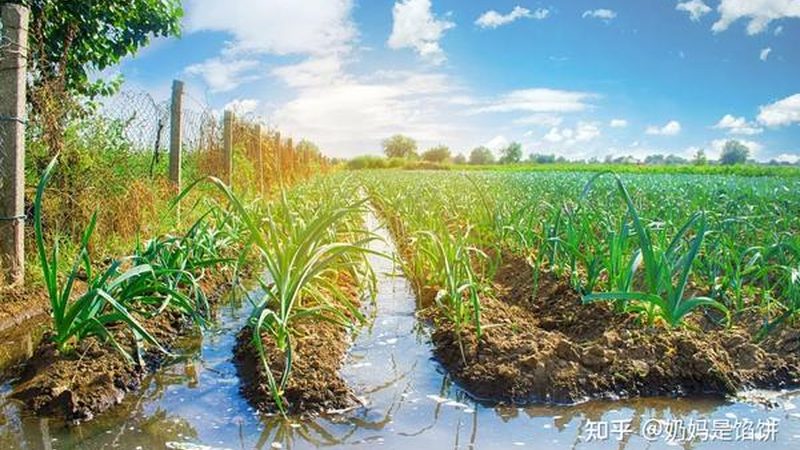 果蔬配送中心系統(tǒng)選型：從“能用”到“好用”的四個關(guān)鍵判斷