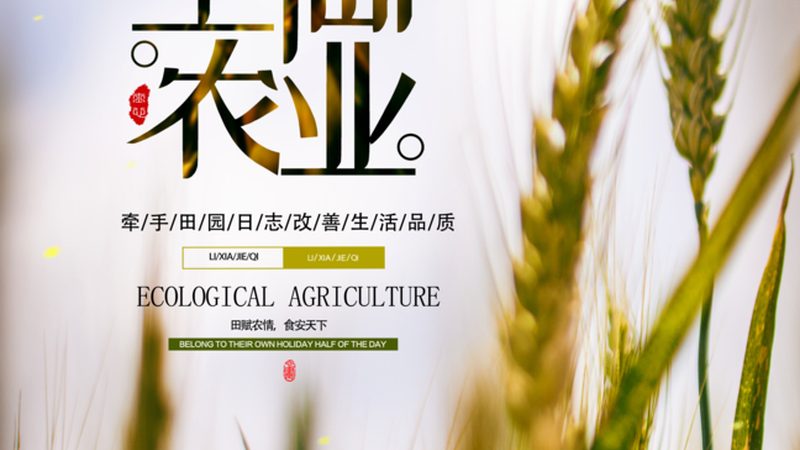 綠色食品認(rèn)證，小企業(yè)如何順利通關(guān)？**